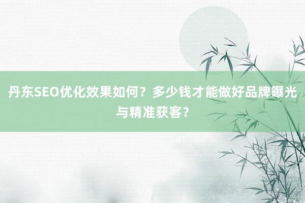 丹东SEO优化效果如何？多少钱才能做好品牌曝光与精准获客？